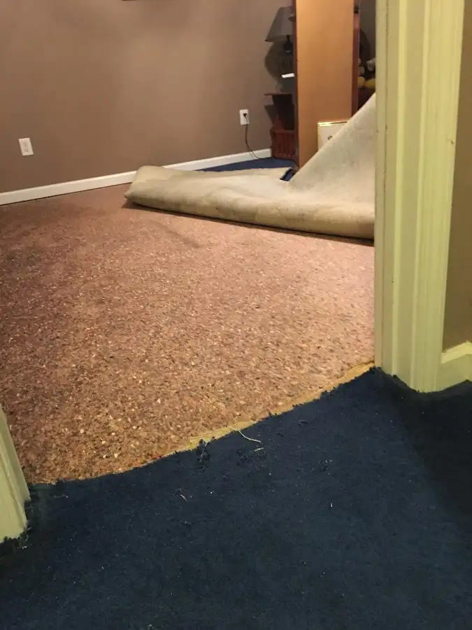 Carpet pad removal revealing water damage during Drying & Dehumidification in Maple Heights